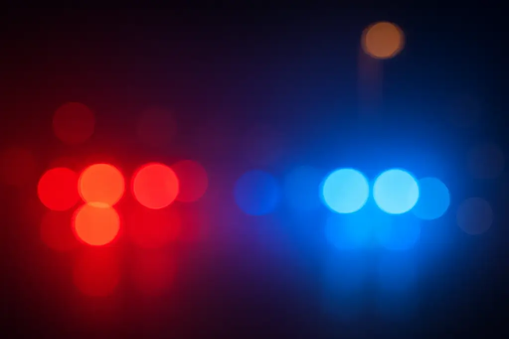 Hun skjulte liget i sofaen: Retssag afdækker mumificeret krop og skraldeposer med hoved