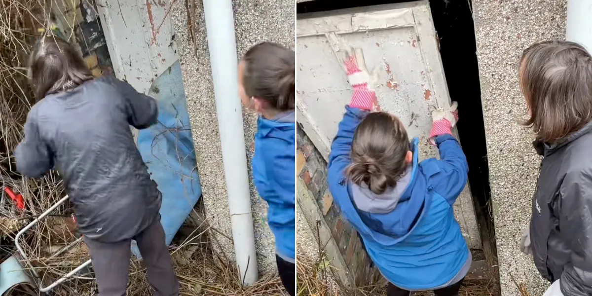 Et skærmbillede fra TikTok der viser en mystisk dør i en have. Døren står centralt med haveomgivelser og skygger omkring, hvilket passer til artiklens tema 'mystisk dør i haven'. Søgeordet i beskrivelsen er Dør.