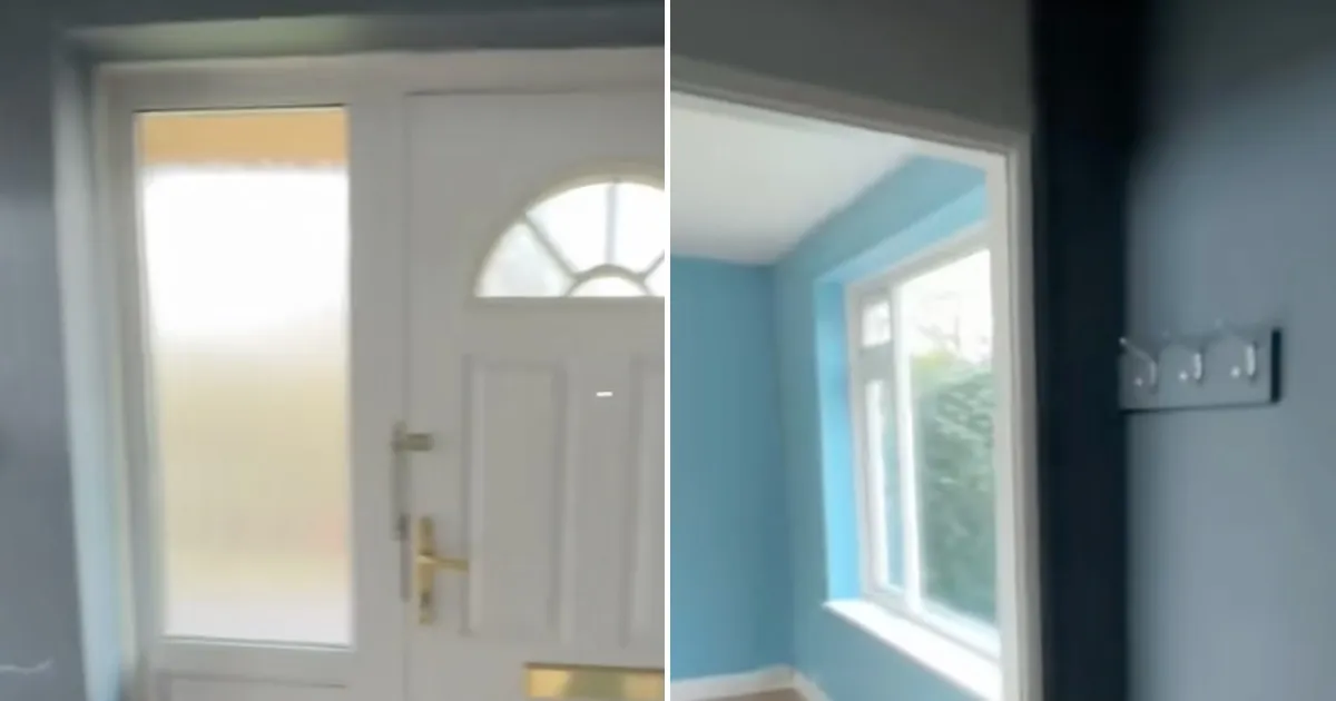 Et skærmbillede fra TikTok, der viser en kat i et nyt hus.