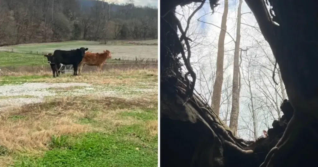 Fra et lille hul til et underjordisk vandfald: Sådan blev en vandretur til en opdagelse