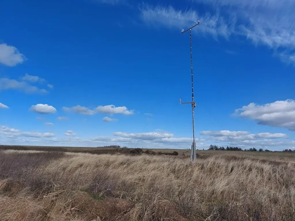 Sigtbarhed under 100 meter: DMI varsler tæt tåge og glatte veje søndag morgen