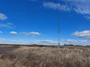Sigtbarhed under 100 meter: DMI varsler tæt tåge og glatte veje søndag morgen