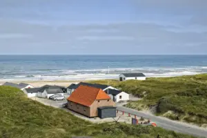 Stanken breder sig i Thy: Lokale raser over strandet kaskelothval