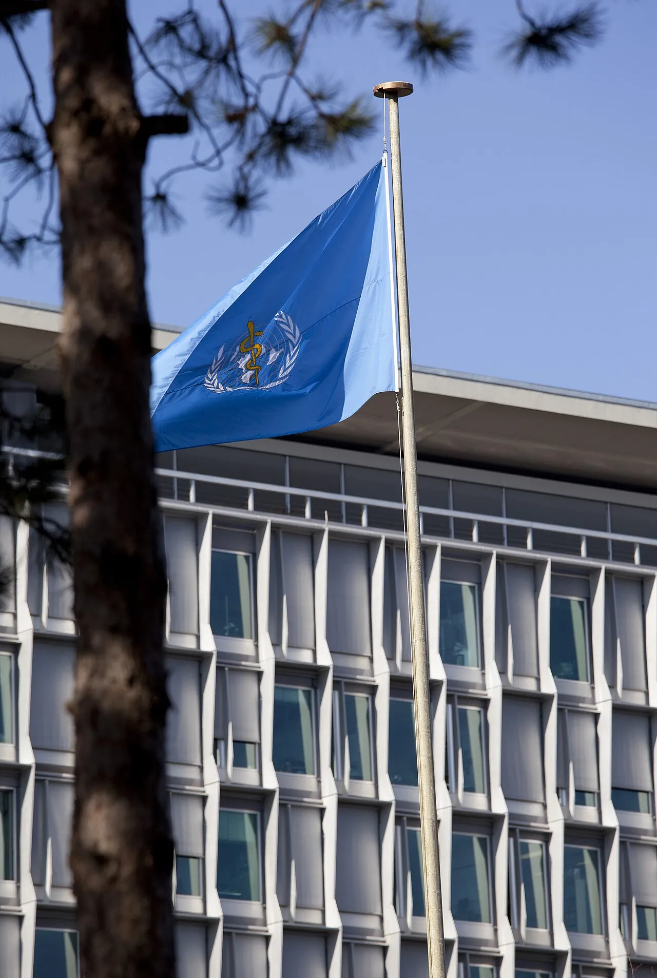 Det officielle flag for Verdenssundhedsorganisationen vajer foran organisationens hovedbygning i Genève.