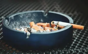 Rygestop som 60-årig: Ny forskning viser opsigtsvækkende gevinst for hjernen