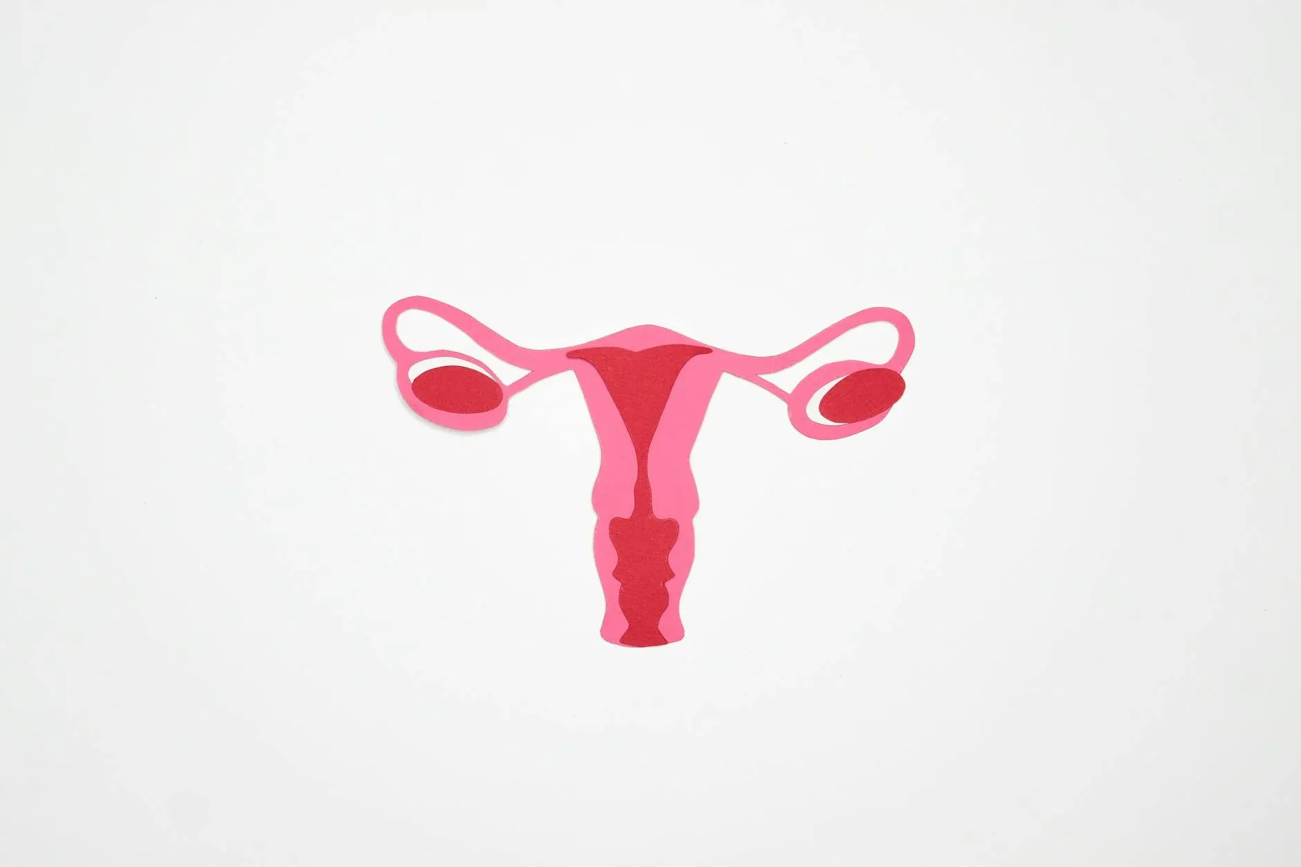 Minimalistisk grafisk illustration af det kvindelige reproduktive system i nuancer af pink på en hvid baggrund. Velegnet som visuelt tema til artikler om fertilitet og kvinders sundhed.