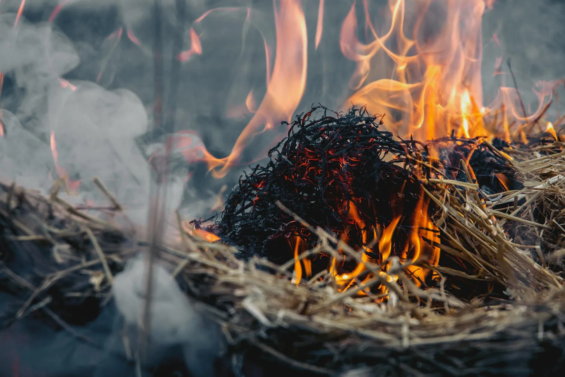 Et intenst nærbillede af en høbrand med tydelige flammer og stigende røg udendørs. Scenen viser kraftig varme og hurtig brandudvikling.