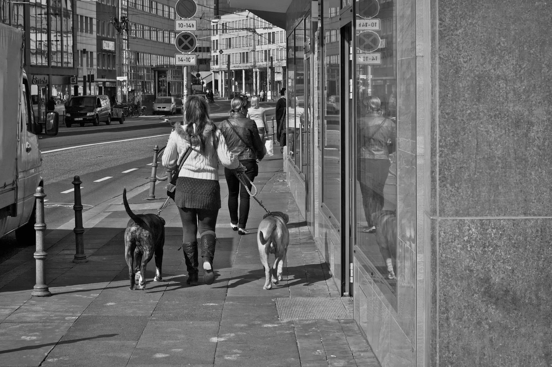 To kvinder går tur med hunde på en travl bygade i sort/hvid. Stemningen er urban og hverdagsnær med fokus på gåturen og hundene.