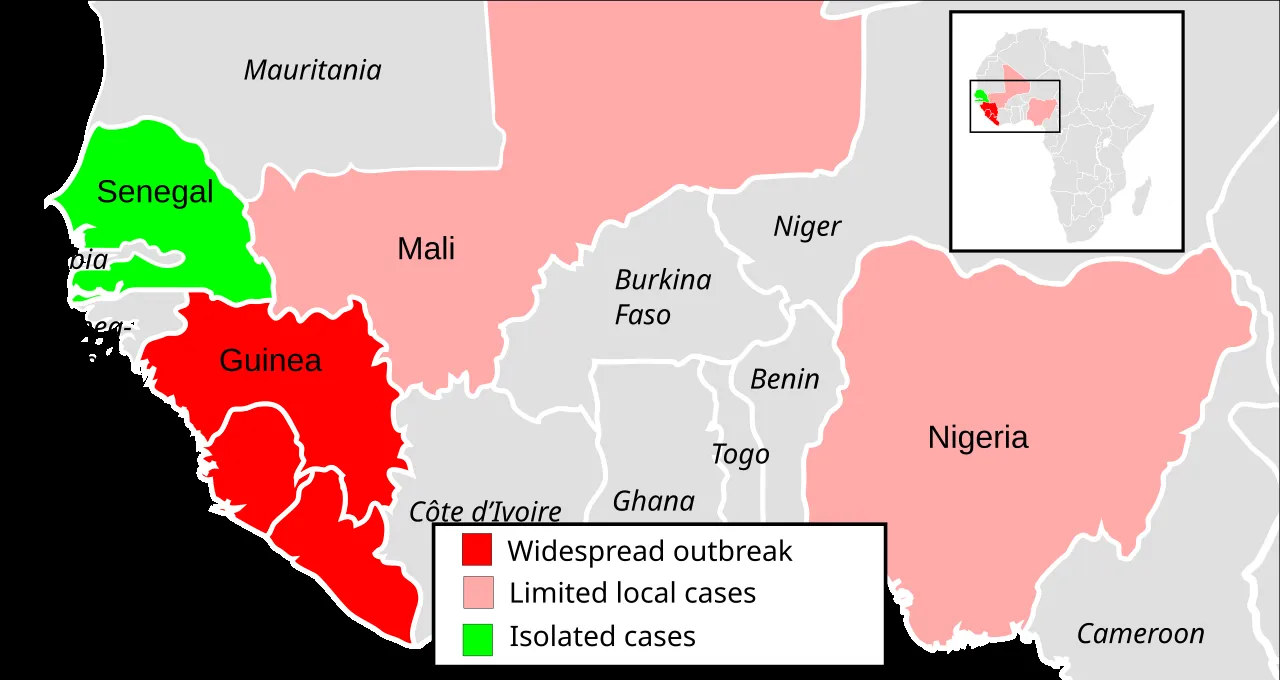 Billedet viser en oversimplificeret situation af Ebola-epidemien i Vestafrika i 2014.