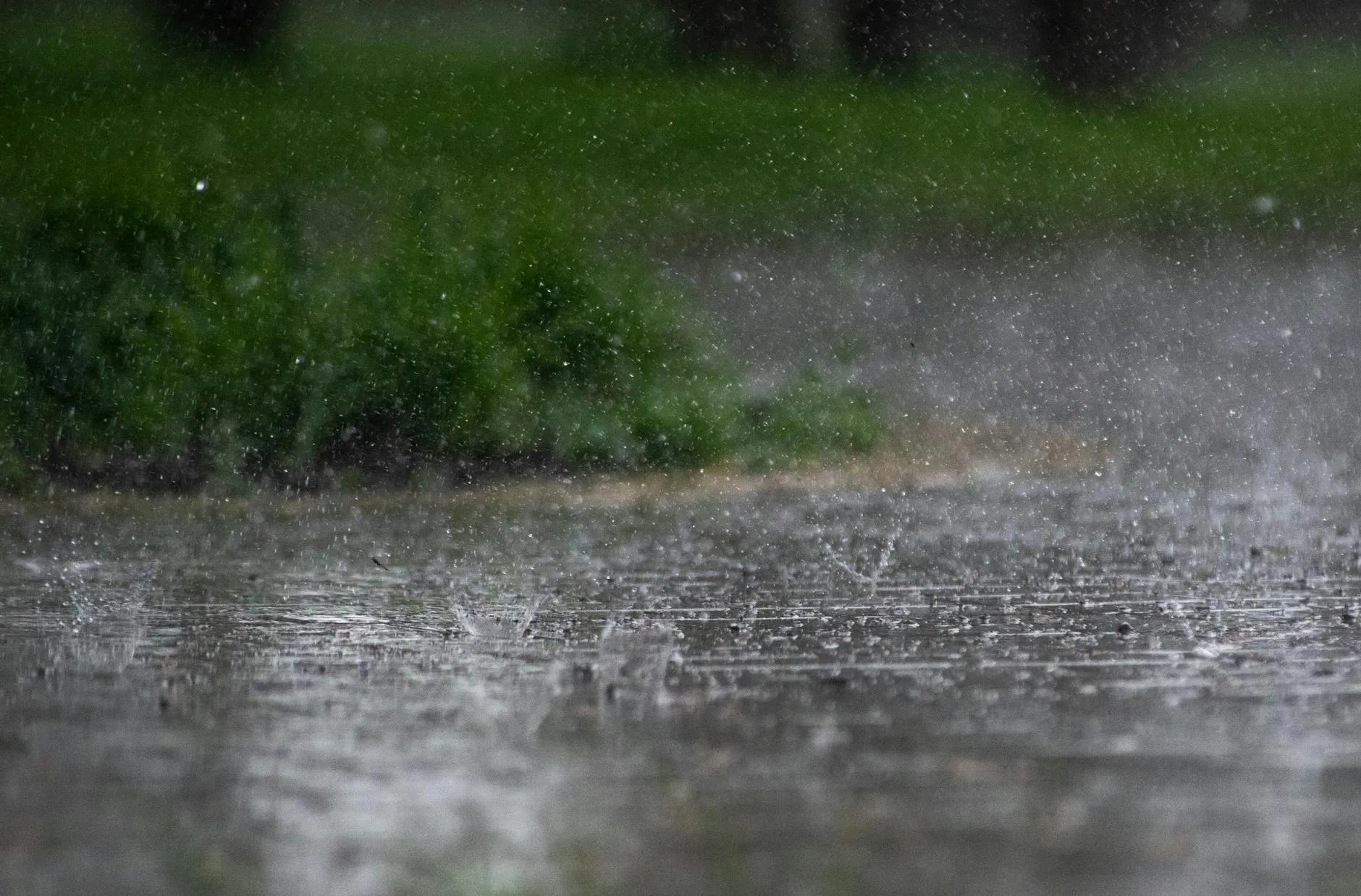 Kraftig regn rammer fortovet i tætte dråber, mens grøn beplantning anes i baggrunden. Stemningen er kold og fugtig, typisk for et hårdt regnvejr.