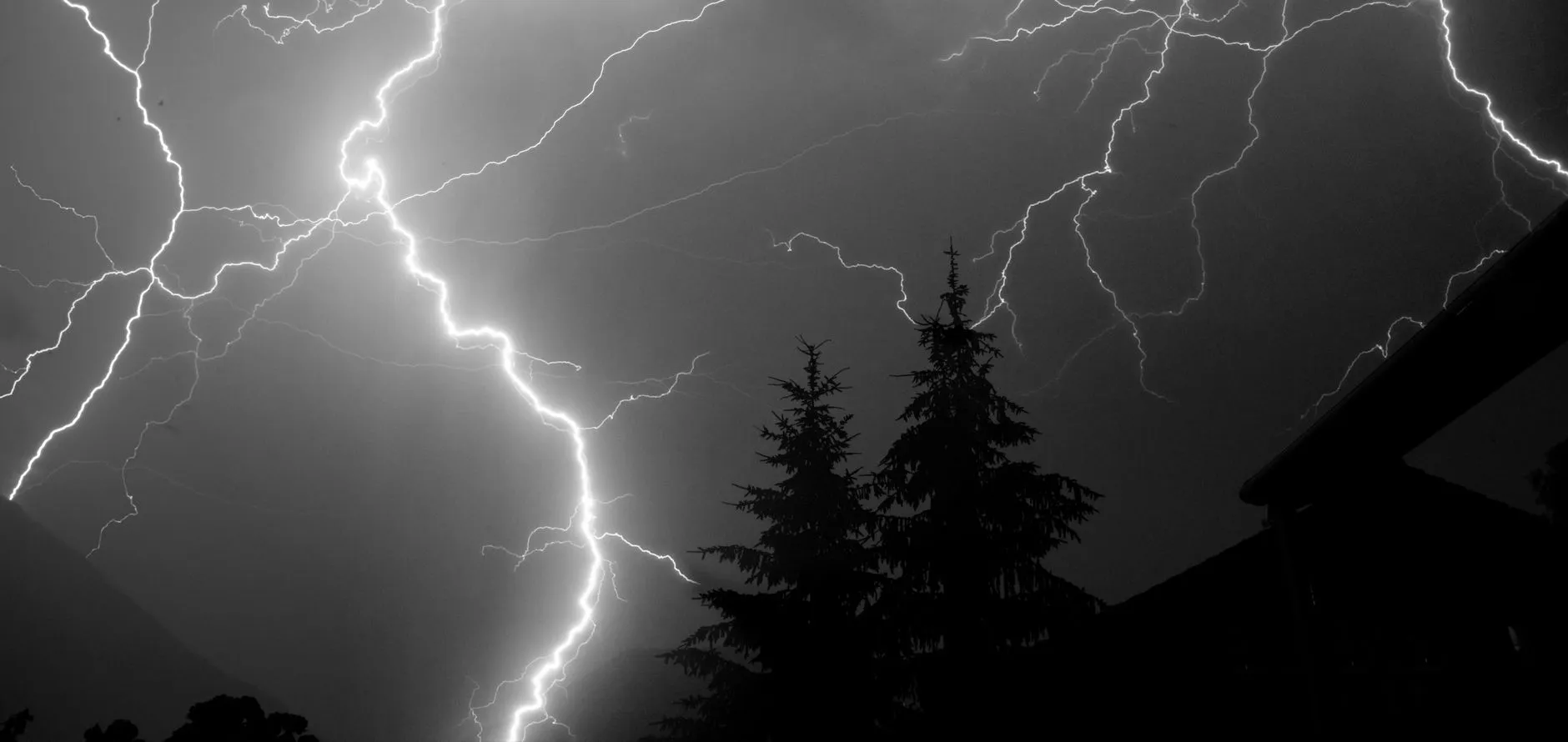 Et kraftigt lyn slår ned under en natlig tordenstorm over fyrretræer. Det dramatiske lys skaber en intens og urolig atmosfære.