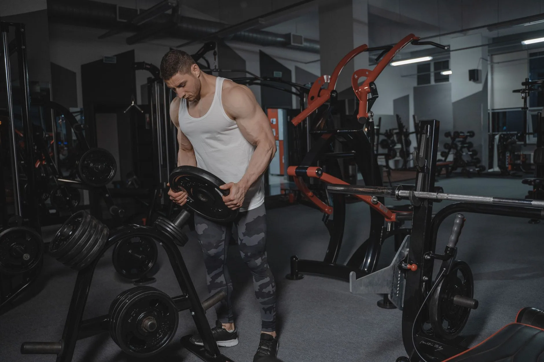 bodybuilding-fitness