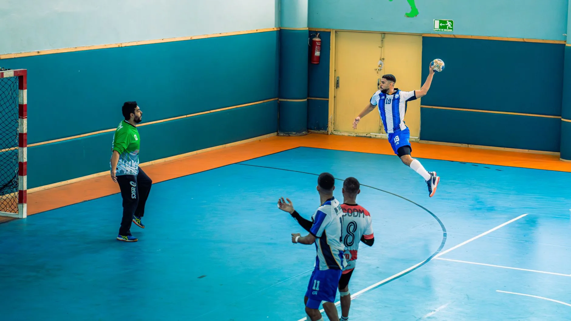 nfh odense champions league handball