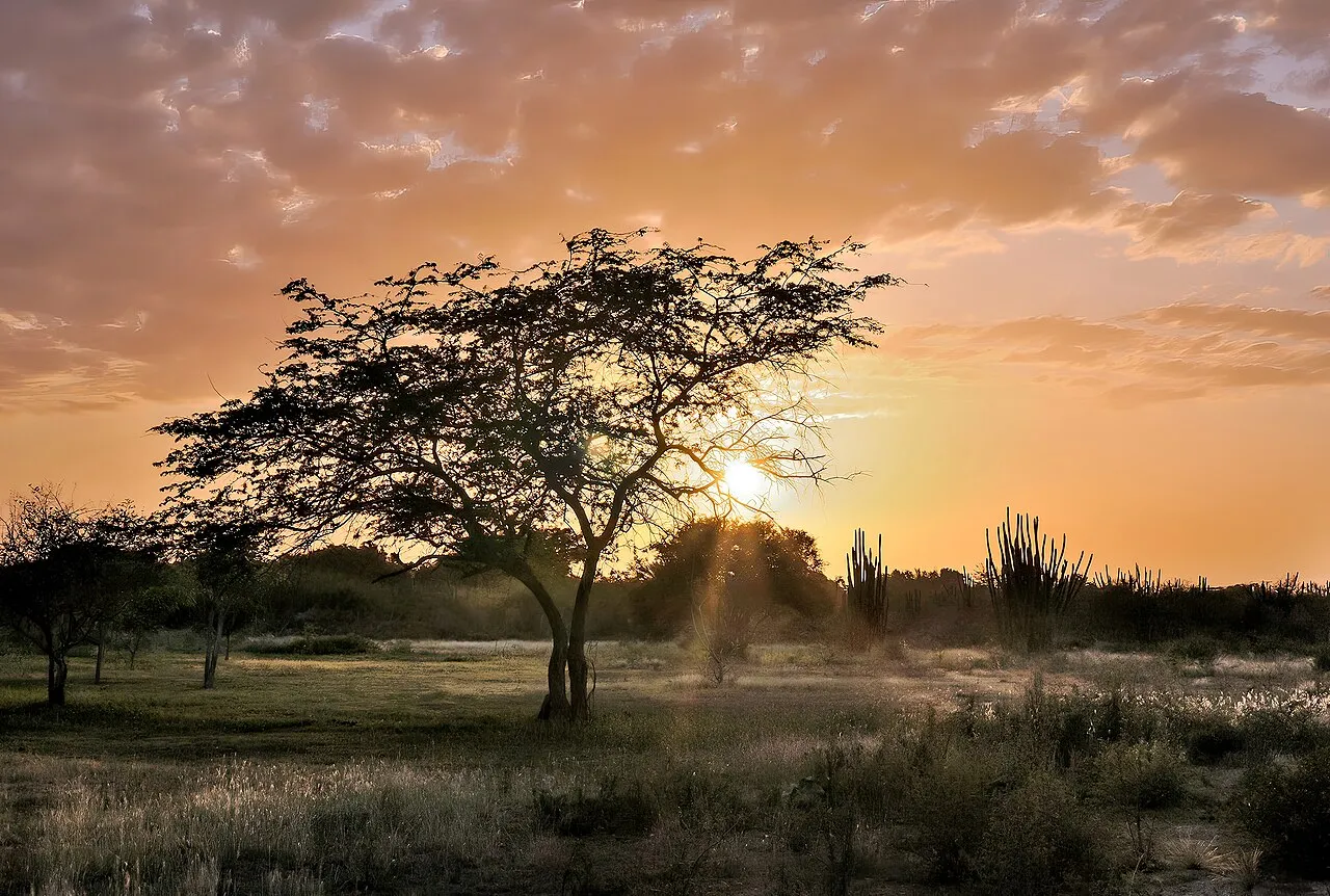 En smuk solnedgang på Margarita Island i Venezuela, taget i Las Guevaras.