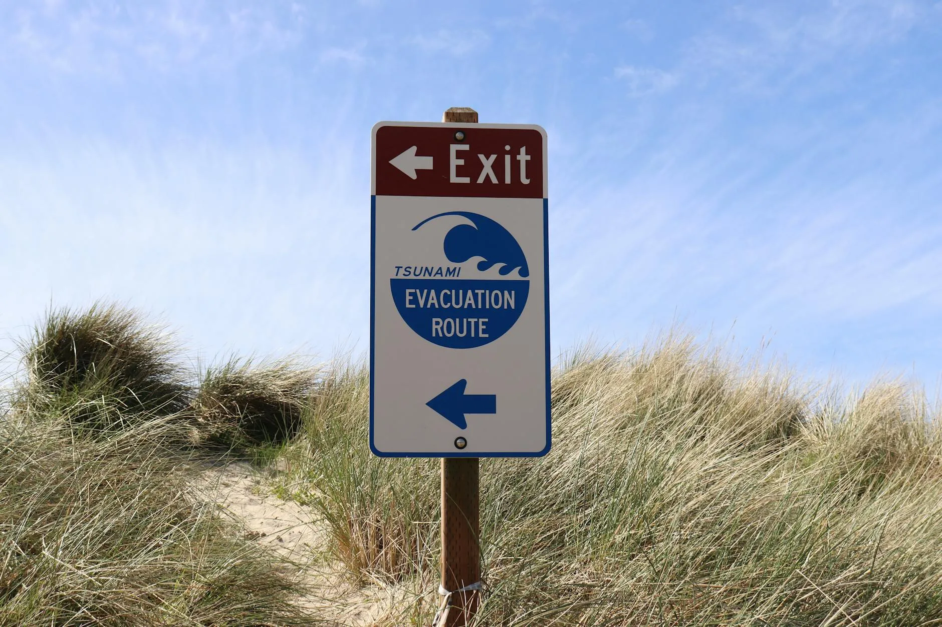 Et tydeligt skilt, der viser strandgæster vejen til sikkerhed langs en tsunami-evakueringsrute. Billedet er taget ved Cannon Beach i Oregon.