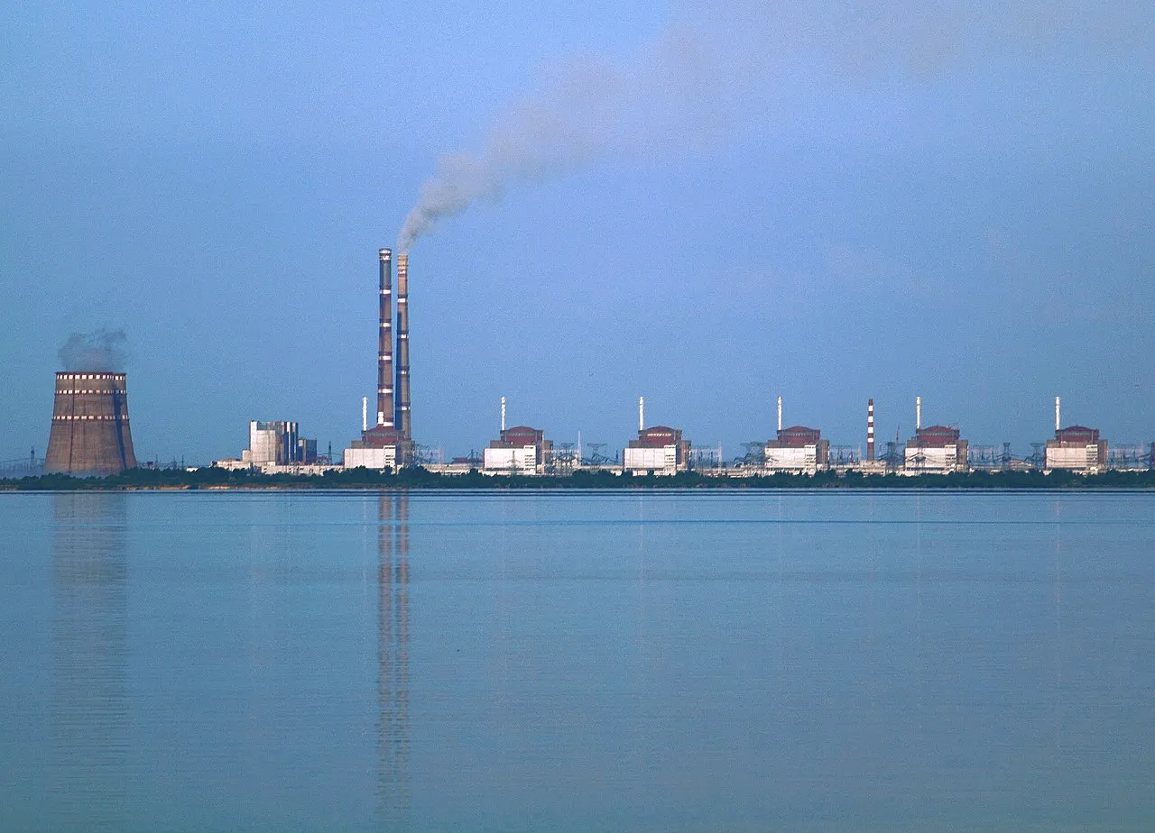 Zaporizjzja atomkraftværk ved Enerhodar ses i baggrunden med køletårne og reaktorbygninger. I forgrunden anes også en nærliggende kraftstation ved Dnipro-floden.