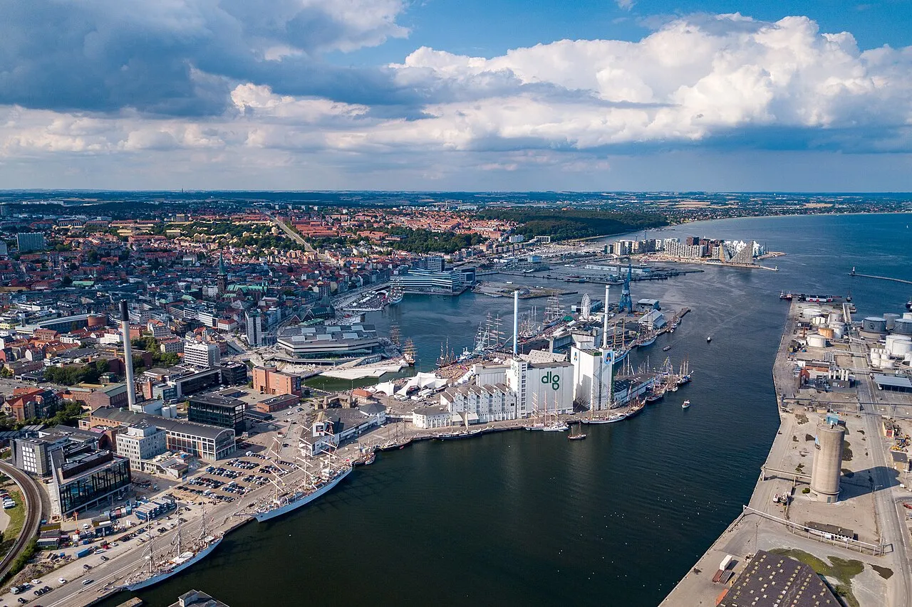Et billede af en hval, specifikt en pukkelhval, i havet.